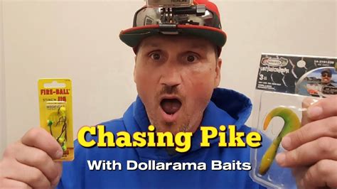 Chasing Pike With Dollarama Baits Youtube