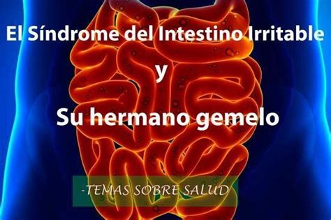 Descubre en quÃ se parecen y se diferencian el SÃndrome del Intestino