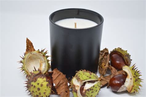 Conker Conkers Horse Chestnut - Free photo on Pixabay - Pixabay