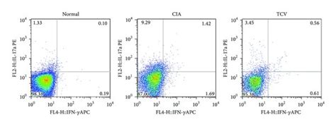 Tcv Influenced The Frequency Of Th1th17 Cells And Related Cytokines In