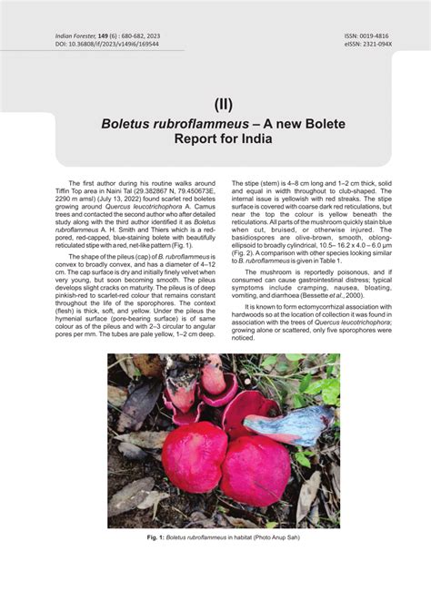 Pdf Boletus Rubroflammeus A New Bolete Report For India