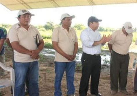 Anapo Insiste En Liberar Exportaciones De Soya Anapo