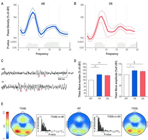 Global Effects Of Prolonged Wake On Eeg Power Spectra Theta Power Download Scientific Diagram