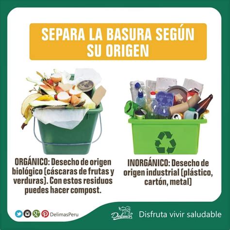 Cómo reciclar los residuos sólidos Orgánico e inorgánico Blog Vive Sano