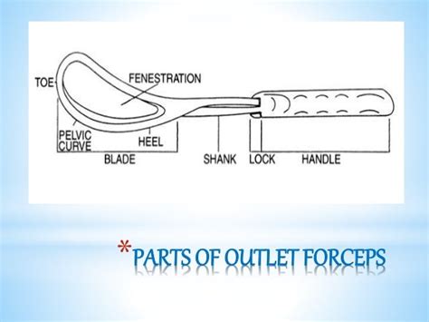 Outlet Forceps