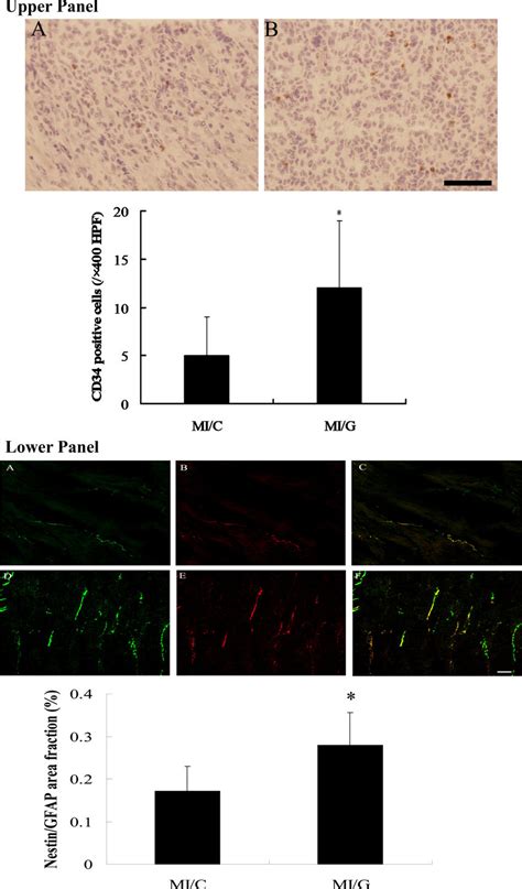 Top Representative Immunohistochemical Stainings Of Cd Brown In