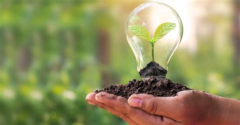 Certifications and Training in Environmental Services - Miller ... 