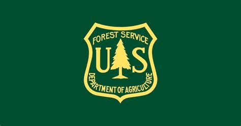 Premium Vector | Flag of the forest service united states vector image