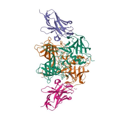 Rcsb Pdb En Structure Of Gii Norovirus In Complex With Nanobody