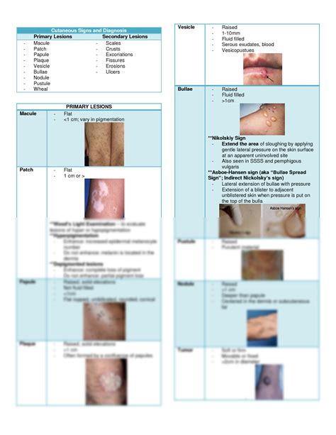 SOLUTION Dermatology Basic Morphology Of The Skin And Cutaneous