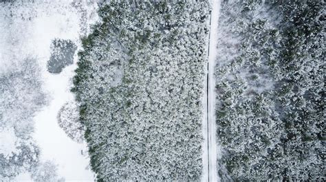 Vista A Rea De Arriba Hacia Abajo De La Temporada De Invierno De Una