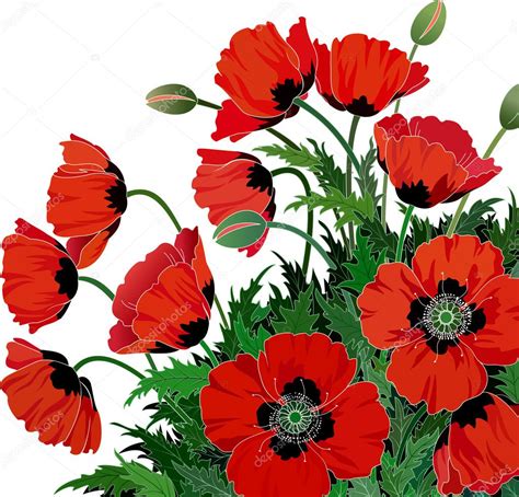 Red Poppies Stock Vector Mikhaylova 4658958