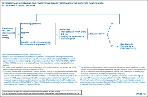 Nccn Guidelines® Insights Prostate Cancer Version 32024 In Journal