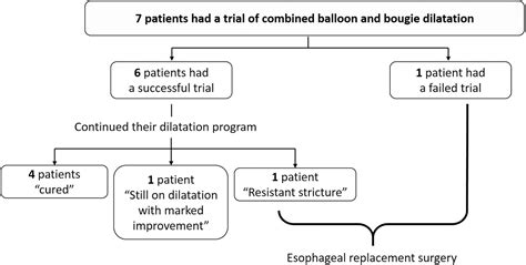 The Effectiveness Of Combined Balloon And Bougie Dilatation Technique