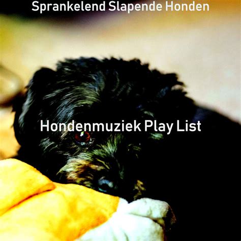 Sprankelend Slapende Honden Album By Hondenmuziek Play List Spotify