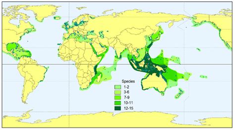 Global Seagrass Distribution 11 1200 Discovery Of Sound In The Sea