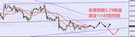 老黑策略：529晚盘外汇、黄金、原油分析策略中金在线财经号