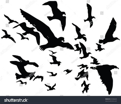 Birds Flock Silhouettes Vector Stock Vector 25346224 Shutterstock