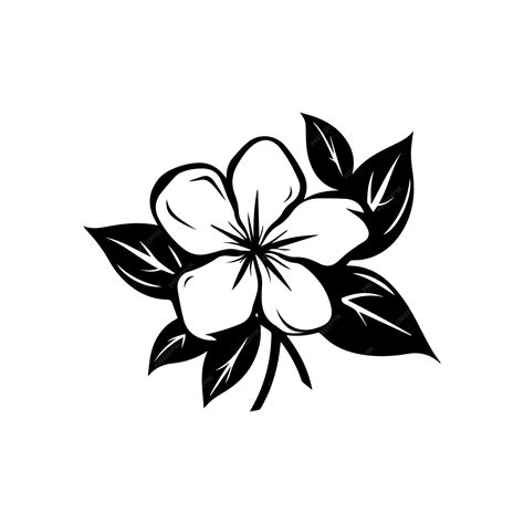 Jasmine Flower Vector Illustration Premium Ai Generated Vector