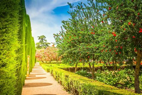 The Famous Alcazar Gardens In Cordoba, Spain Stock Image - Image of europe, kings: 25628085