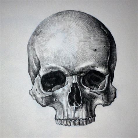 Pin By Derald Hallem On Skull Art Skull Art Drawing Skulls Drawing