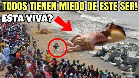 Sirena Real Captada Tienes Que Ver Esto El Canto De Las Sirenas Esta