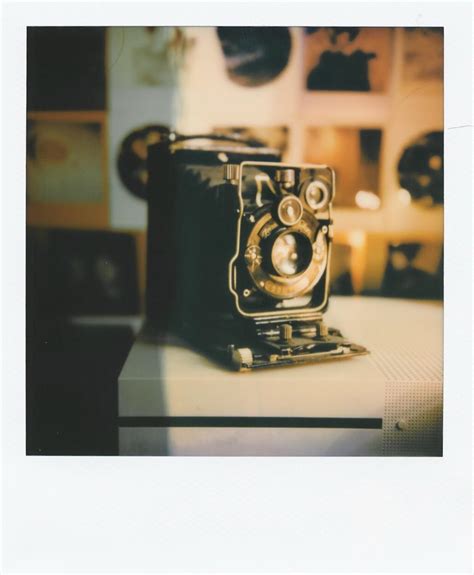 First Photo After the Repair / SX-70 : r/Polaroid