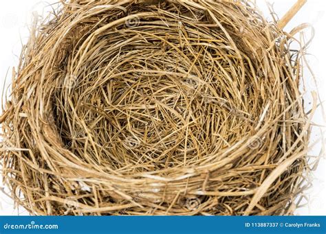 Empty Nest Royalty Free Stock Photo 18503487