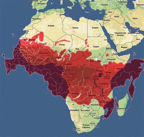 The Real Size Of Africa On A Map Topographic Map Of Usa With States