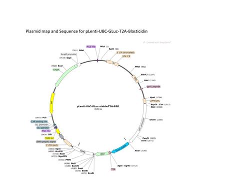 Drug Discovery Tumor Imaging Cell Tracking Product Price List