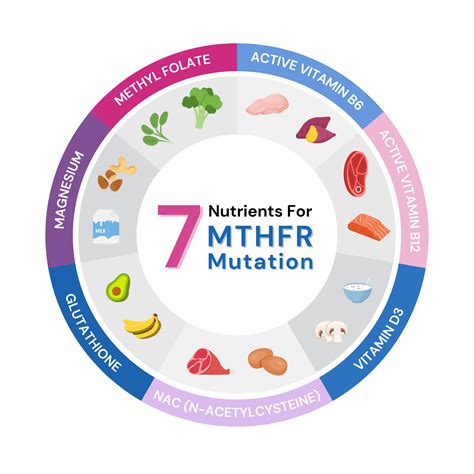 What Foods Cause High Homocysteine Levels