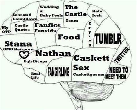 Caskett Kate Stana Rick Nathan Brain Castle Feelings Relatable