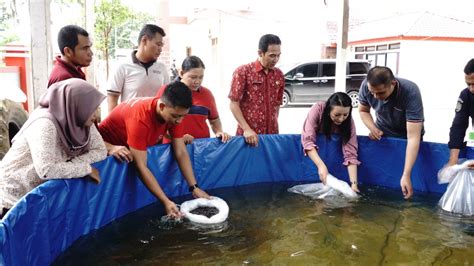 Karolin Ajak Masyarakat Manfaatkan Lahan Untuk Budidaya Lele