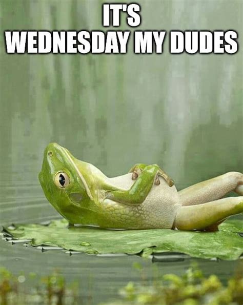 Its Wednesday My Dudes 9gag