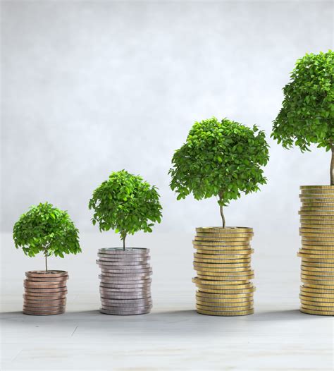 baron capitale wealth management financial advisory  india