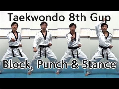 Taekwondo Punches: Unveiling the Names and Techniques