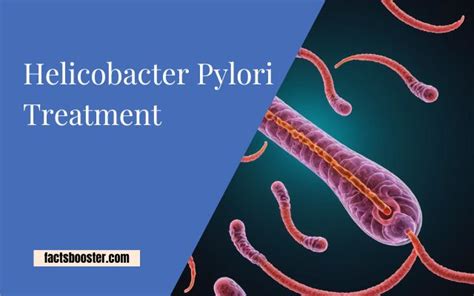 Helicobacter Pylori Treatment - Healthful Choices, Happy Lives