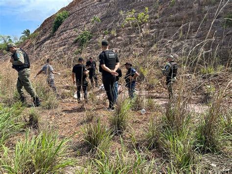 Corpo de mulher é encontrado carbonizado na região do Rodoanel em