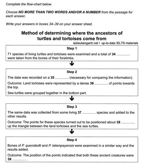 Reading Flow Charts Worksheet