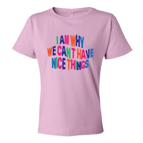 Womens I Am Why We Cant Have Nice Things Tee Shirt