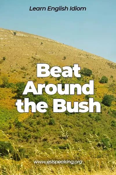 Learn The Meaning And Origin Of The English Idiom Beat Around The Bush