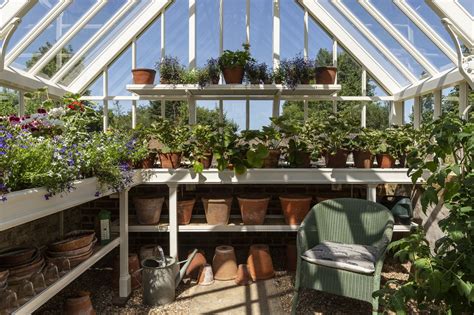 Benching And Strawberry Boards Inside Thomas Messenger Greenhouse