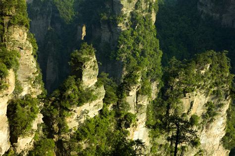 无人横图俯视室外白天旅游度假石头美景森林山山脉树林植物张家界中国亚洲阴影光线石子影子景观山顶山峰