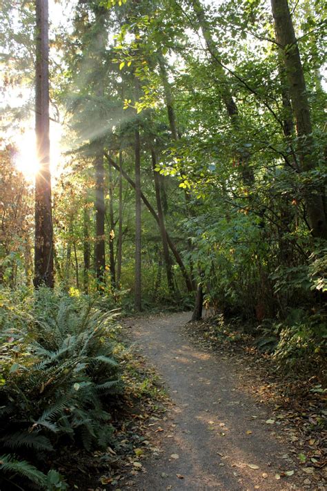 Pioneer Park Mercer Island Washington