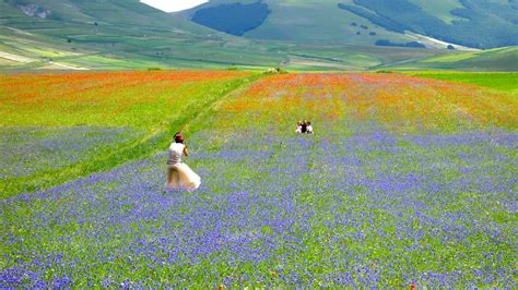 Tourisme à Castelluccio di Norcia 2023 Visiter Castelluccio di Norcia