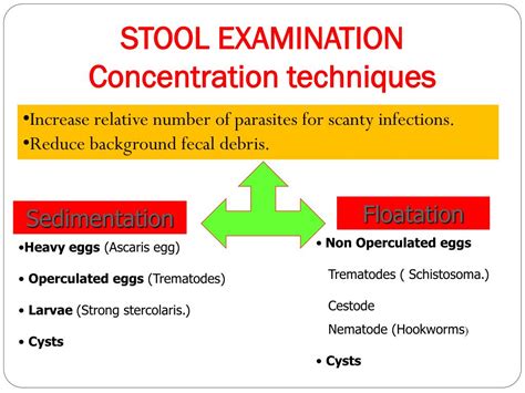 Ppt Medical Parasitology Powerpoint Presentation Free Download Id2356346