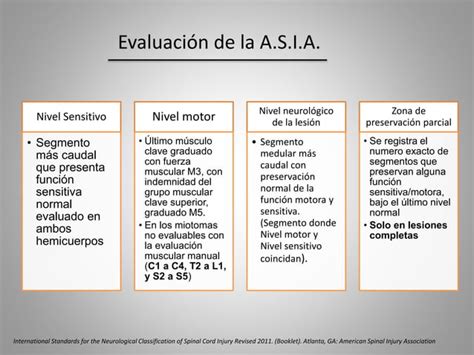 Lesion Medular PPT