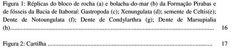 Estudantes Do 6 Ano No Laborat Rio De Ci Ncias Da Escola Estadual De