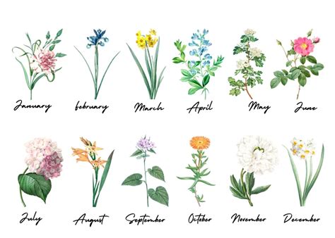 Birth Month Flower Name Print Personalized Birth Flower Stem Etsy