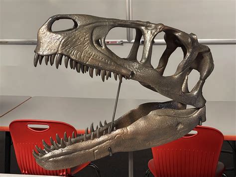Utahraptor Skull Newest Dinosaur Discovered Is A Seriously Badass